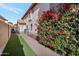 Landscaped side yard with walkway and bougainvillea at 1931 W Mulberry Dr, Chandler, AZ 85286