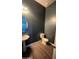 Powder room with dark-blue walls and pedestal sink at 20982 E Mockingbird Dr, Queen Creek, AZ 85142