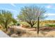 Golf course path with desert vegetation and a golf cart at 41604 N Cedar Chase Rd, Anthem, AZ 85086