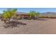 Large backyard with gravel and mature trees at 44429 N 1St Dr, New River, AZ 85087