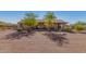 Spacious backyard with gravel, trees, and cornhole at 44429 N 1St Dr, New River, AZ 85087