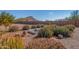 Landscaped backyard with cacti, succulents, and raised garden beds at 44429 N 1St Dr, New River, AZ 85087