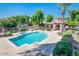 Community pool with spa, ramada, palm trees, and manicured landscaping at 4511 W Valencia Dr, Laveen, AZ 85339