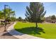 Residents enjoy walking on the paved trail through the lush green common area at 4511 W Valencia Dr, Laveen, AZ 85339