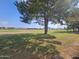 View of a green grassy area with mature trees and homes in the background at 650 N Hawes Rd # 4820, Mesa, AZ 85207