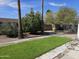Backyard featuring a well-manicured lawn, beautiful landscaping, and mature shade trees at 903 W Loughlin Dr, Chandler, AZ 85225
