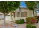 Landscaped front yard with a large tree and colorful bushes at 9862 E Flower Ave, Mesa, AZ 85208