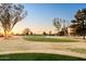 Landscaped golf course with mature trees and sunset views at 10242 E Spring Creek Rd, Sun Lakes, AZ 85248