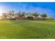 Landscaped community green space with stone wall and trees at 12519 W Bajada Rd, Peoria, AZ 85383
