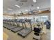 Fitness center with multiple treadmills and other exercise equipment at 24831 S Ribbonwood Dr, Sun Lakes, AZ 85248