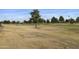 View of a tree lined golf course path at 24831 S Ribbonwood Dr, Sun Lakes, AZ 85248