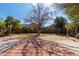 Landscaped backyard with patio and mature trees at 835 E Marigold Pl, San Tan Valley, AZ 85143
