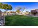 Large backyard with grassy lawn, trees, and rock border at 10760 W Monte Vista Rd, Avondale, AZ 85392