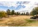 Community greenbelt with grassy area and mature trees at 16450 E Ave Of The Fountains -- # 23, Fountain Hills, AZ 85268