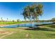 Serene lake view with lush green landscaping and a flock of birds at 16450 E Ave Of The Fountains -- # 23, Fountain Hills, AZ 85268