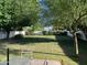 Spacious backyard with mature trees and lush green lawn, perfect for outdoor activities and relaxation at 2207 W Hayward Ave, Phoenix, AZ 85021