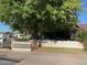Lush front yard featuring a large tree providing ample shade with a well-maintained lawn at 2207 W Hayward Ave, Phoenix, AZ 85021