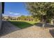 Landscaped backyard with grass, gravel, and mature trees at 2480 E Haymore St, Gilbert, AZ 85298