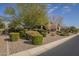 Landscaped yard with mature trees and shrubs at 2480 E Haymore St, Gilbert, AZ 85298