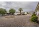 Large backyard with gravel landscaping and mature trees at 10027 W Concord Ave, Sun City, AZ 85351