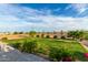 Expansive grassy backyard with palm trees and a view of the surrounding area at 10447 W Appaloosa Trl, Casa Grande, AZ 85194