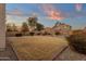 Landscaped backyard with a large grassy area at 14248 W Edgemont Ave, Goodyear, AZ 85395