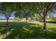 Lush green lawn surrounded by trees and a gazebo, creating a peaceful outdoor space for relaxation and recreation at 15432 W Corrine Dr, Surprise, AZ 85379