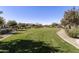 Spacious grassy area perfect for recreation and relaxation at 20409 E Escalante Ct, Queen Creek, AZ 85142