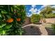 Landscaped backyard with two orange trees at 2147 S Valle Verde Cir, Mesa, AZ 85209