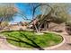 Lush backyard with green grass, a mature tree, and a well-maintained landscape at 21804 N 38Th Pl, Phoenix, AZ 85050