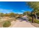 Scenic walking path through the neighborhood with lush greenery and beautiful desert landscapes at 21804 N 38Th Pl, Phoenix, AZ 85050