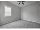 Small bedroom with gray walls and carpet flooring at 22897 E Carriage Way, Queen Creek, AZ 85142