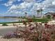 Lakefront view with a wooden footbridge and palm trees at 22897 E Carriage Way, Queen Creek, AZ 85142