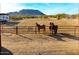 Horses in a large dirt arena with mountain views at 32905 N 140Th St, Scottsdale, AZ 85262