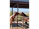 Two horses nuzzling each other in their stalls at 32905 N 140Th St, Scottsdale, AZ 85262