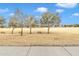 Open green space with benches and mature trees, ideal for relaxation at 4229 E Seasons Cir, Gilbert, AZ 85297