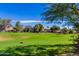 Landscaped green golf course with residential homes in the background at 4701 E Ardmore Rd, Phoenix, AZ 85044