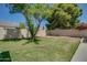 Simple backyard with grass lawn and block wall at 6073 W Caribe Ln, Glendale, AZ 85306