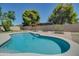 Large kidney-shaped pool surrounded by a brick patio and lush landscaping at 6073 W Caribe Ln, Glendale, AZ 85306