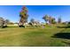 Expansive green lawn area with mature trees at 8270 N Hayden Rd # 1023, Scottsdale, AZ 85258