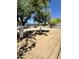 Spacious backyard with mature trees and dirt at 11713 W River Rd, El Mirage, AZ 85335