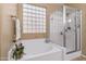 Spa-like bathroom with soaking tub and walk-in shower at 12522 W Llano Dr, Litchfield Park, AZ 85340