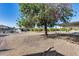 Expansive backyard featuring gravel landscaping, mature trees, and a covered patio for outdoor enjoyment at 13219 W Prospect Dr, Sun City West, AZ 85375