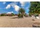 Expansive backyard with mature citrus trees and landscaping at 18003 N 136Th Way, Sun City West, AZ 85375