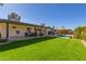 Expansive backyard with grassy lawn, patio, and pool at 2032 E Pegasus Dr, Tempe, AZ 85283