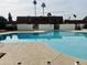 Enjoy the community pool with blue water, lounging area, and palm tree views at 7810 N 47Th Ave, Glendale, AZ 85301