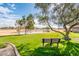 Scenic pond view with a park bench and lush green grass at 7837 E Crestwood Way, Scottsdale, AZ 85250