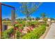 Landscaped garden with various flowers at 9625 E Spiral Ave, Mesa, AZ 85212