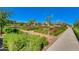 Landscaped walking path with manicured hedges at 9625 E Spiral Ave, Mesa, AZ 85212