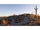 Landscaped path with desert plants and unique rock formations at 13801 N Moon Dr, Phoenix, AZ 85023